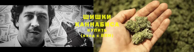 где продают   Шлиссельбург  Конопля план 